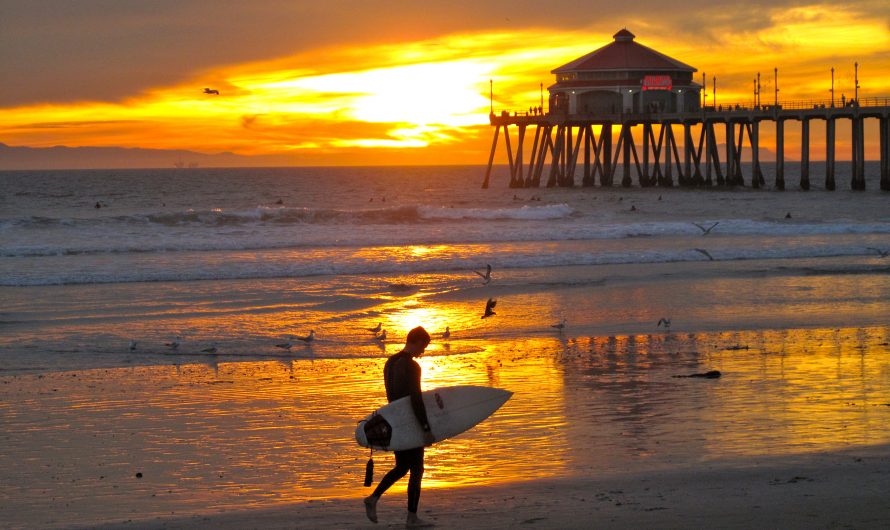 The Surfrider Foundation on the Seashore and Ocean Preservation Pays Much Attention to Surfing Impact on Nature