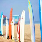 Answer These Surfboard Questions for Waves Riding and Decide on Whether to Change Your Surfing Style or Board