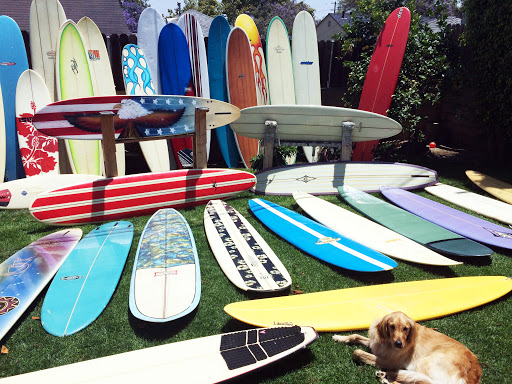 surfboards and dog