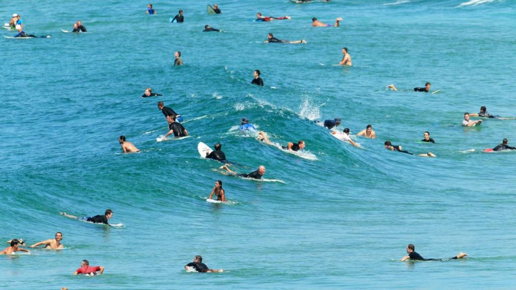 many surfers in ocean