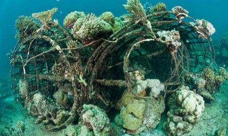 man-made artificial reef with metal struture