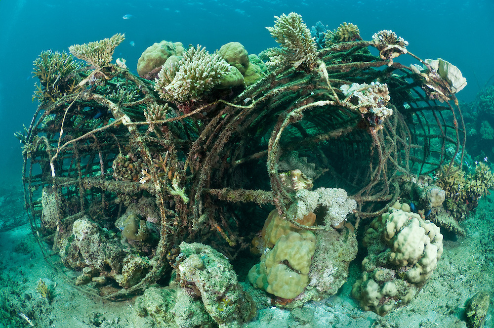 man-made artificial reef with metal struture