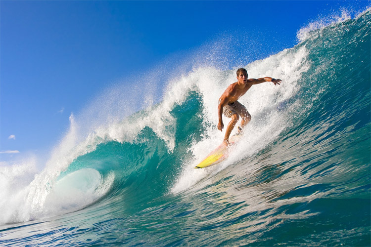 surfer waves