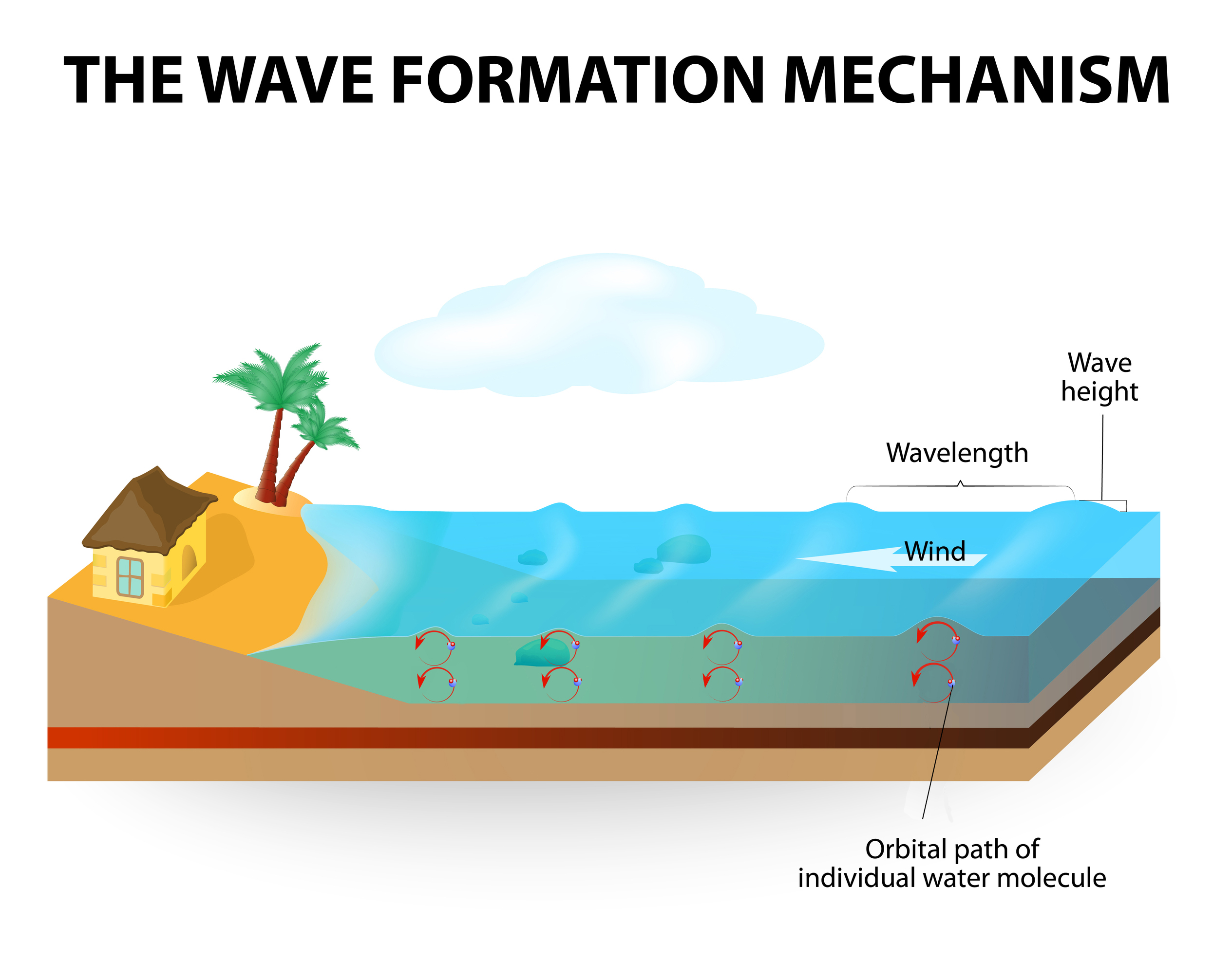  How Waves Form