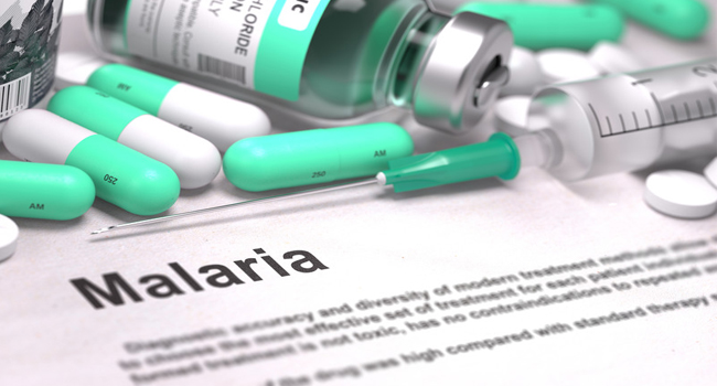 preventive medicine for malaria.