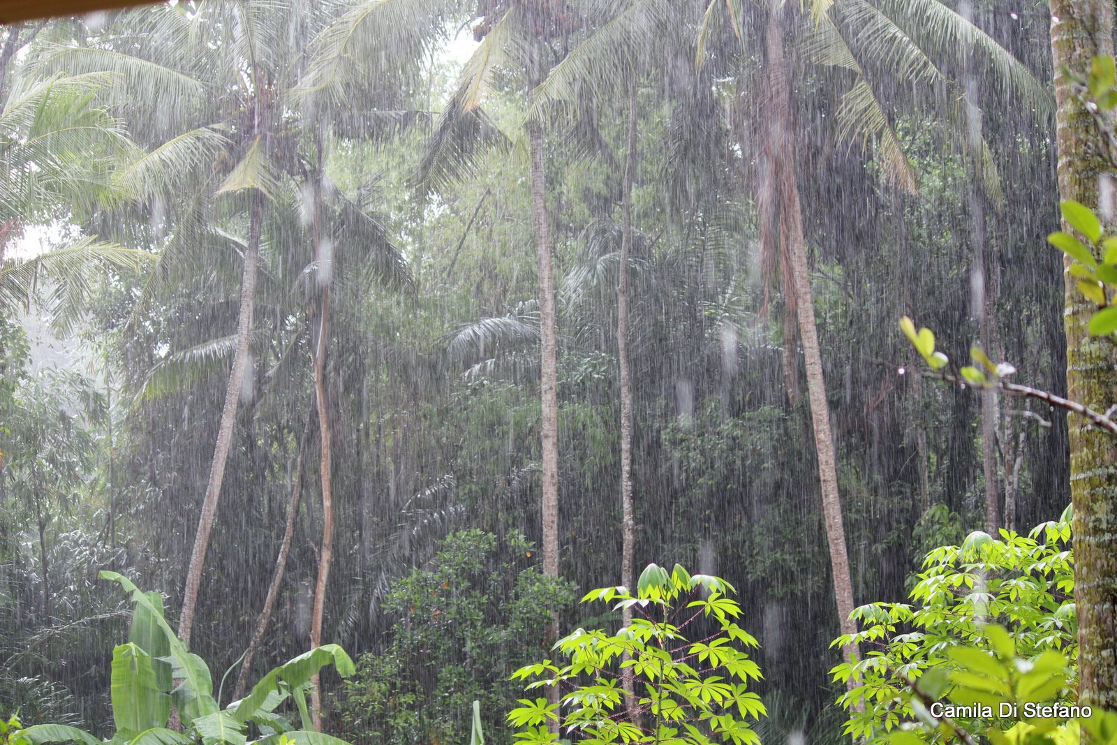 rainy season in bali