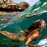 Siamese Palm Viper Surfboard and where to find a perfect place for using it