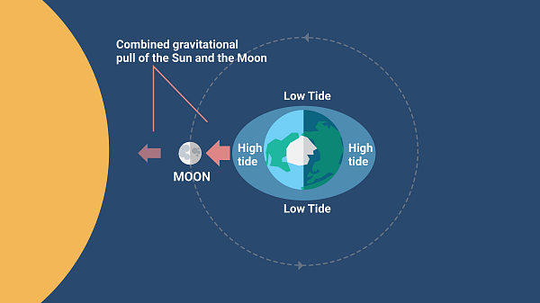 formation of Tides on Earth by the moon