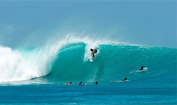 Seeking the Perfect Waves: Surfing in the Galapagos