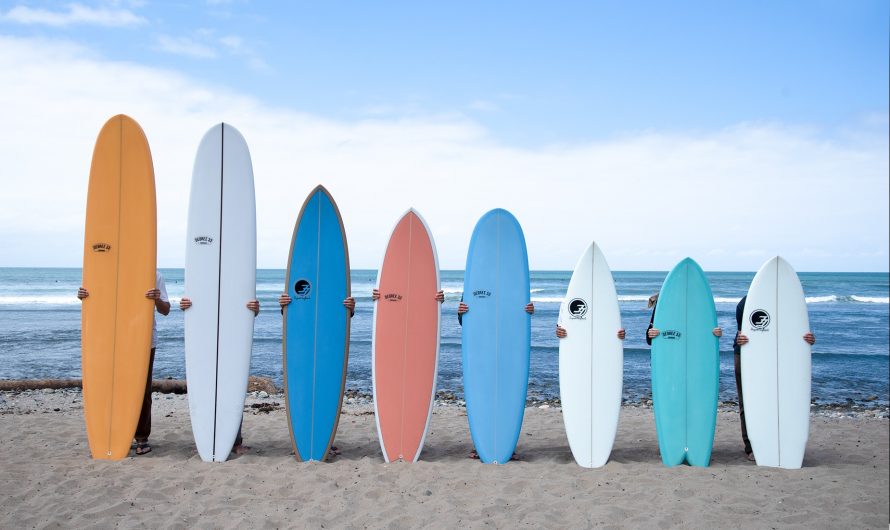 Surfboard: basic elements