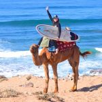 The art of surf travel