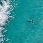 5 Surfing Ways to Help Nature