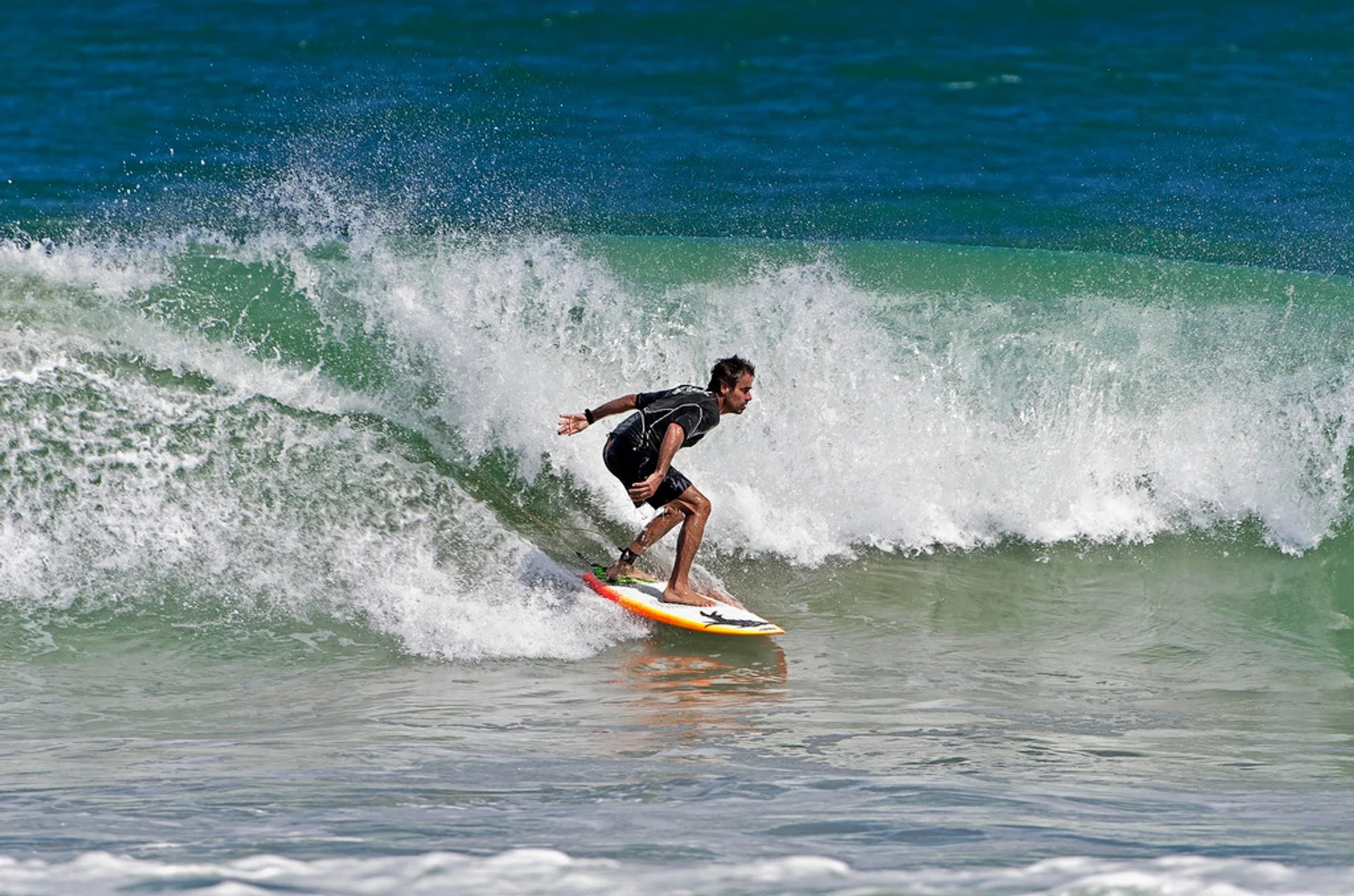 surf Florida