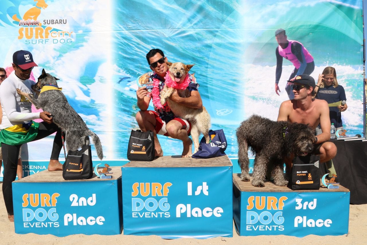 dog surfing Huntington Beach award